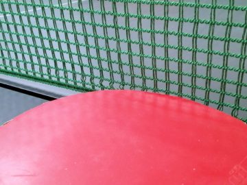Tischtennisnetz mit Schläger